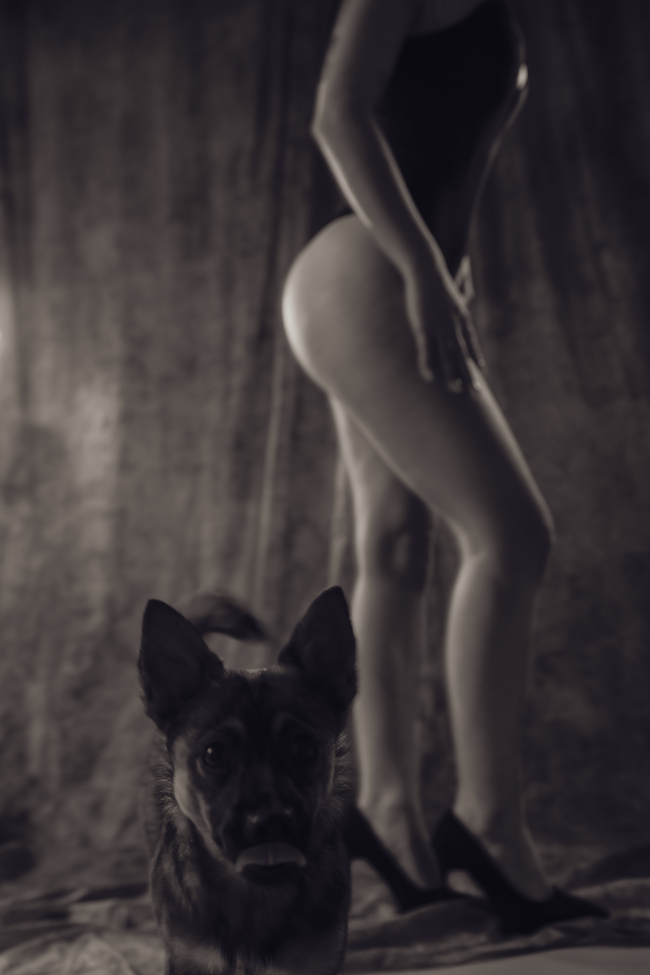 Akt Fotoshoting mit Hund 