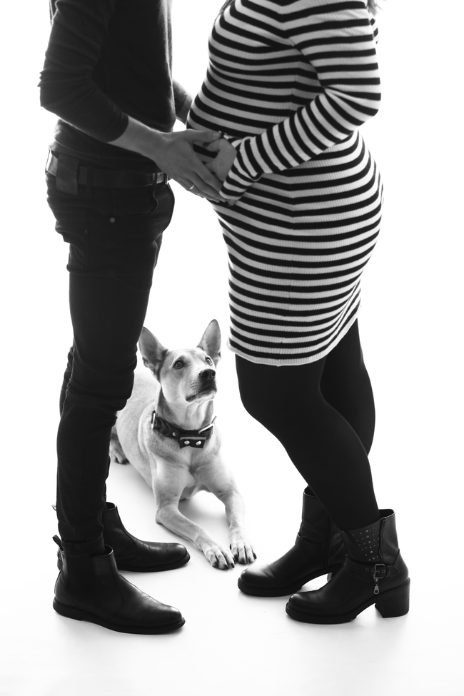 Babybauch Fotos mit Partner und Hund 
