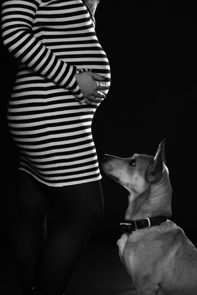 Schwangerschaft Foto mit Hund 